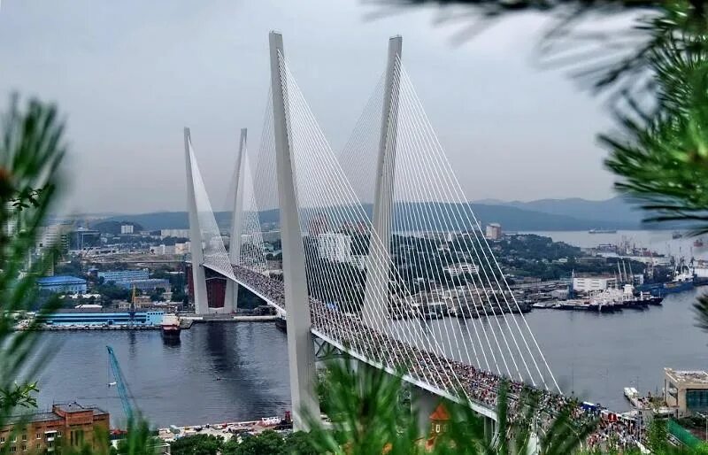 Олег Кожемяко: нам есть, что показать Папе Римскому в Приморье - UssurMedia.ru