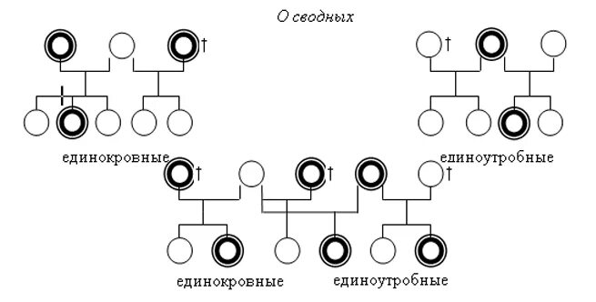 Сводный брат т сестру