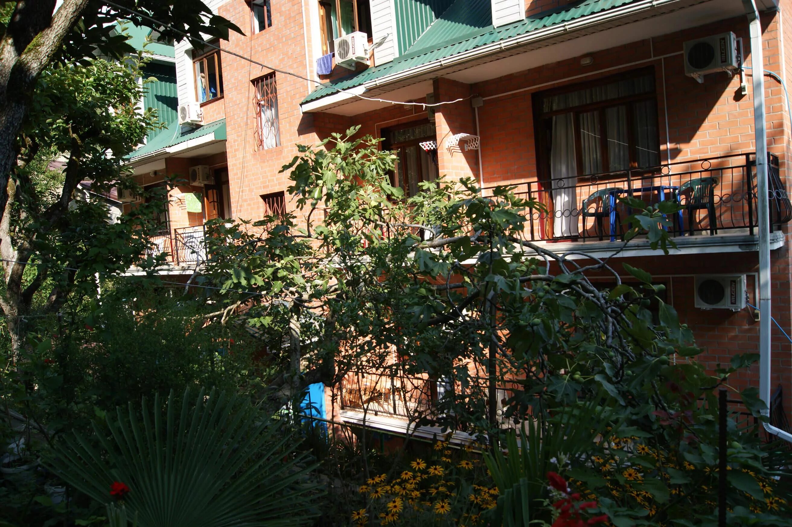 Гостевой дом арго лазаревское. Отель арго лазаревское. Арго, гостиница 2* сочи (лазаревское). Сайт отеля арго лазаревское. Арго лазаревское сочинское шоссе 59.