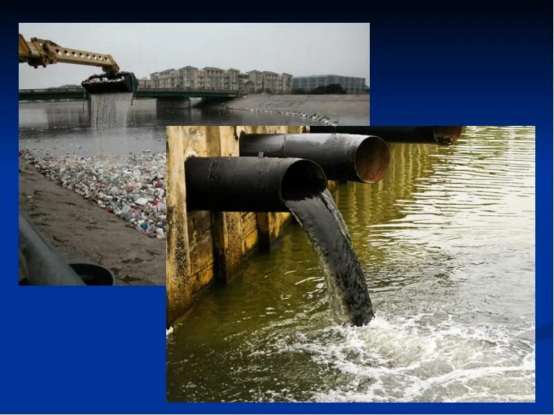 File:Water habitat contamination.jpg - Wikimedia Commons