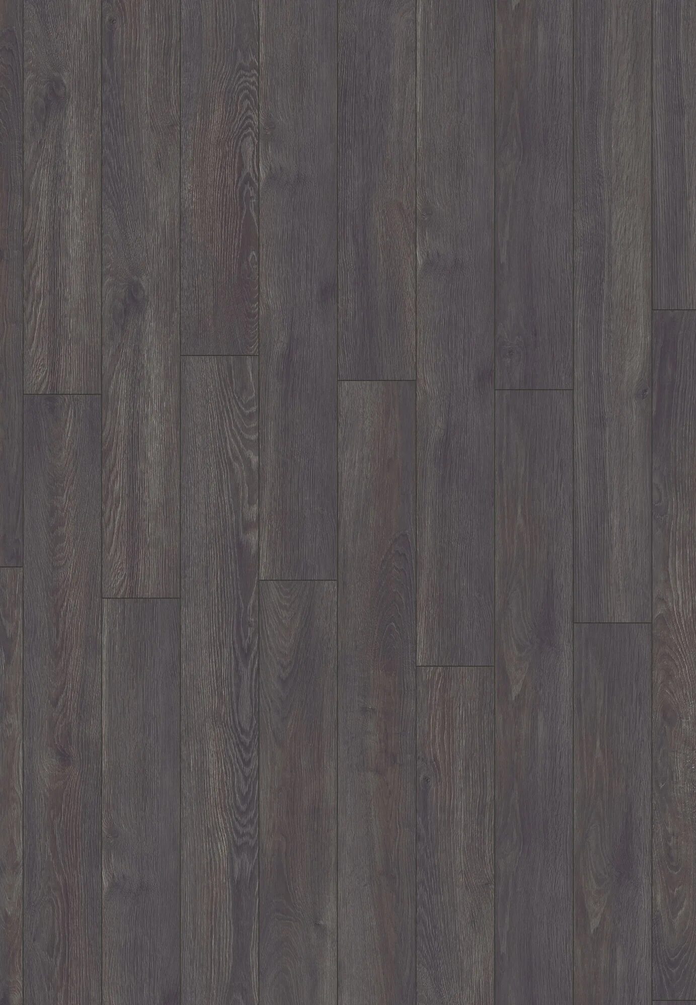 Дуб эльба черный ламинат. Дуб эльба. Дуб эльба. Ламинат kronotex amazone d3597 дуб таймлесс бежевый. Amazone — ламинат дуб эльба золотой d 6012.