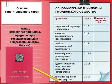 Политический экономический и социальный основы конституции