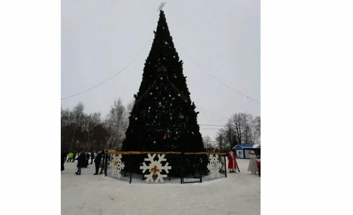 Чистополь елка в скарятинском. Главная ёлка в чистополе. Новогодняя елка на площади. Новогодняя елка городской сад. Елка в чистополе 2022.