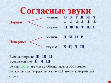 Компьютер мягкие согласные