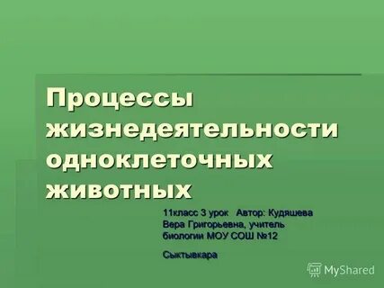 Системы жизнедеятельности животных