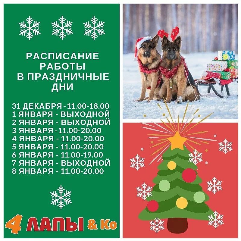 График работы четыре лапы в новогодние праздники
