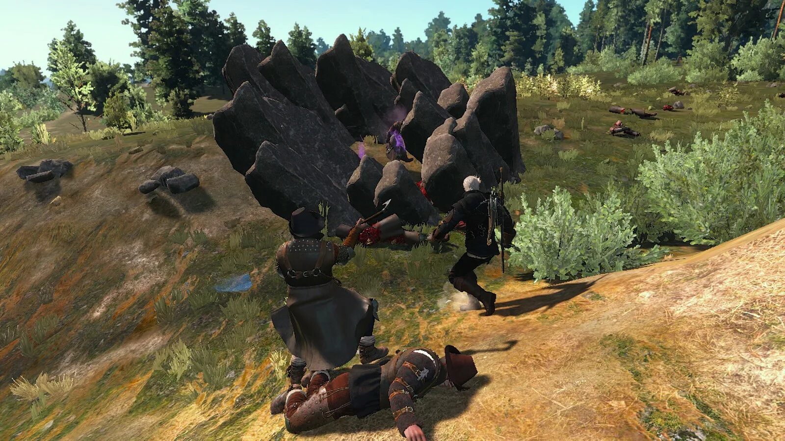 Помехи ведьмак 3 где найти источник. Магические помехи ведьмак 3 потестеквизитора ведьмак. Источник магических помех ведьмак 3. Источник магических помех ведьмак 3. Источник помех ведьмак 3.