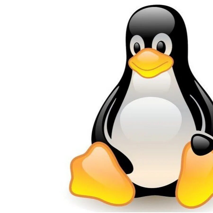 Линукс ютуб. Линус торвальдс с пингвином. ос linux. логотип операционной системы линукс. linux операционная система на прозрачном фоне.