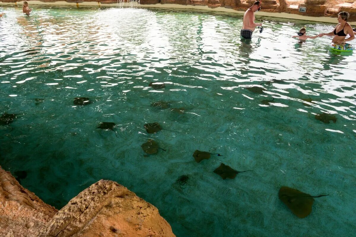 Вода в бассейнах турции. Морской парк Sealanya. Аквапарк Sealanya Seapark. Морской парк Турция Сиде. Аквапарк Sealanya Seapark (Турция, Алания).