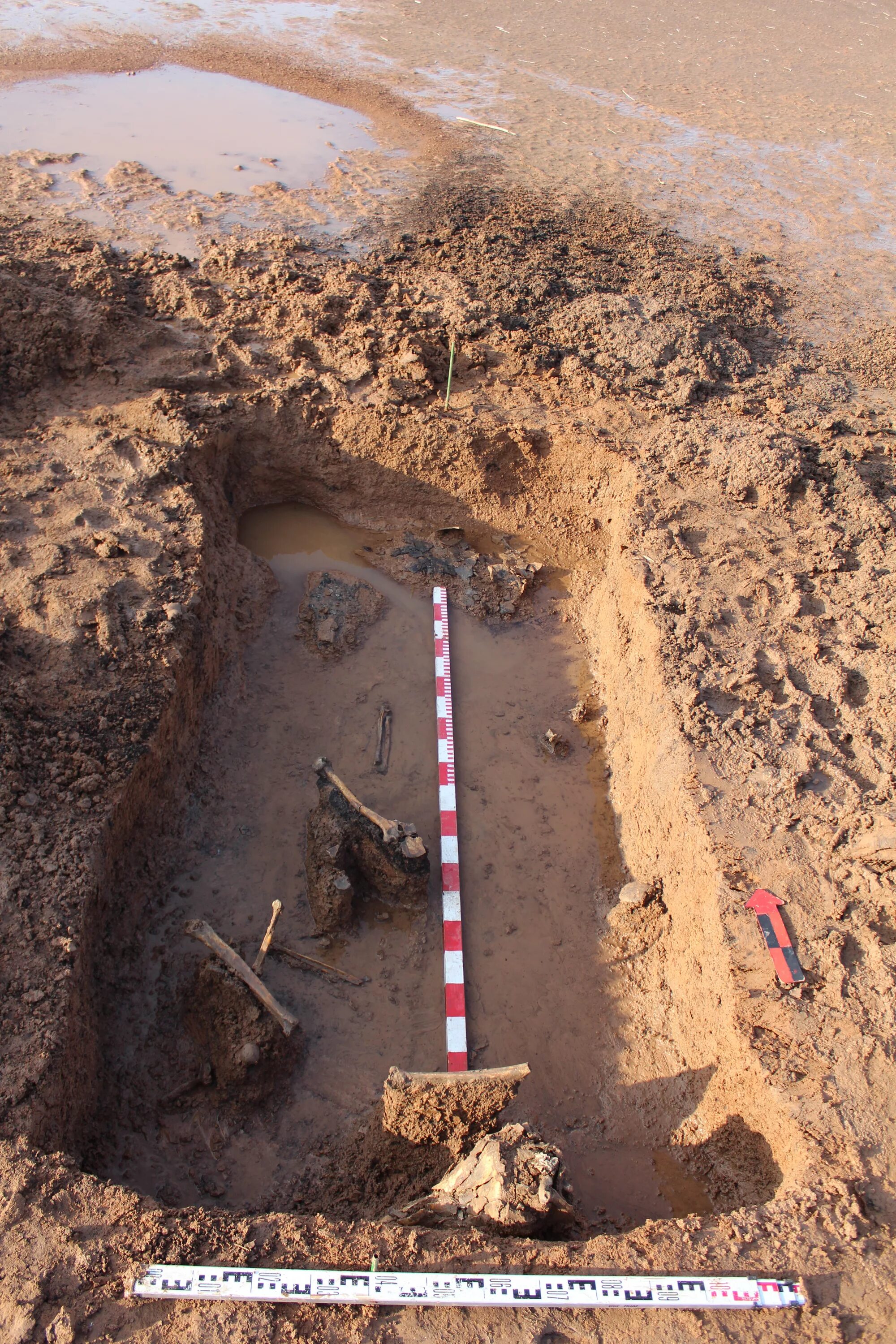 могильник талды 2. могильник 2. жглино луга. могильник 2. погребение могильник болдырёвский 1.