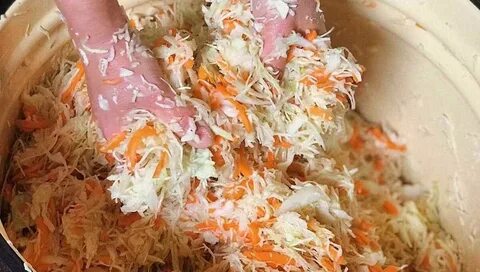 Квашеная капуста классический рецепт приготовления