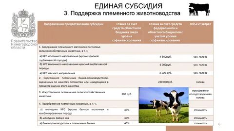 Субсидии животноводства