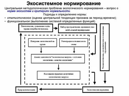 Нормы экологической системы
