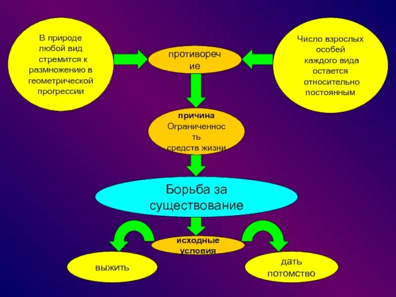 Квадроберы это кто простыми словами откуда пришло. Квадроберы это кто простыми словами откуда пришло. Квадроберы это кто простыми словами откуда пришло. Книги по bmx. Мими корешь квадробика.