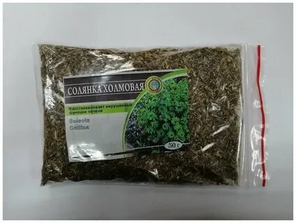 Лечебная трава солянка