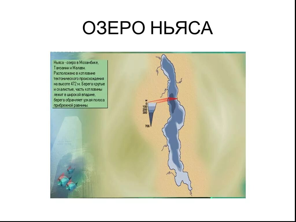 Озеро Ньяса. Оз Ньяса на карте. Ньяса озеро на карте России. Озеро ньяса расположено