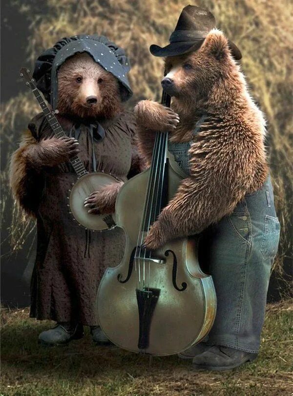 Make the bear