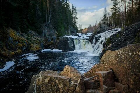 Горбилет карелия