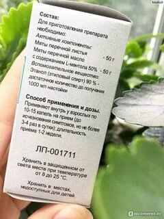 Мята перечная для волос применение