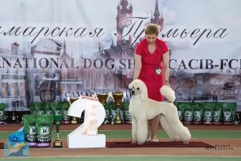 Зоопортал казань