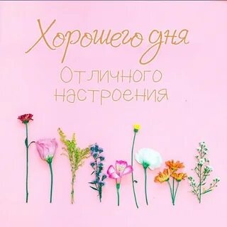 Открытка хорошего дня и настроения стильная