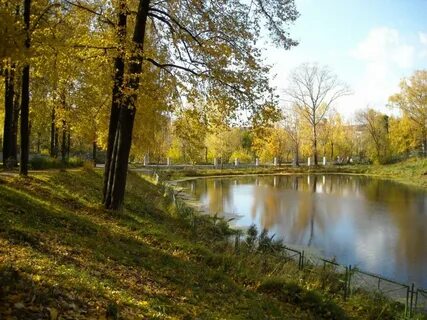 Фурманов сады