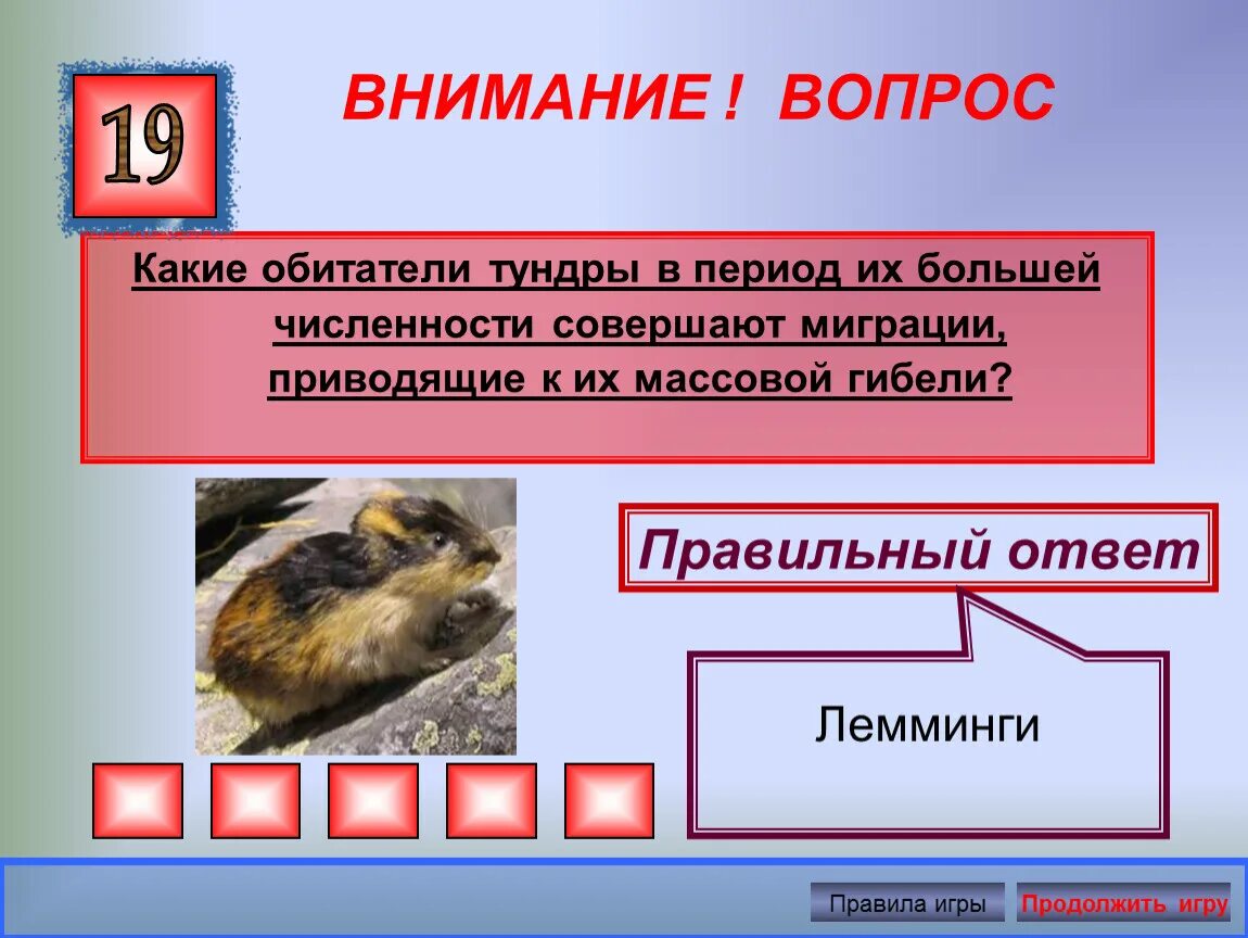Какие животные регулярно совершают миграции