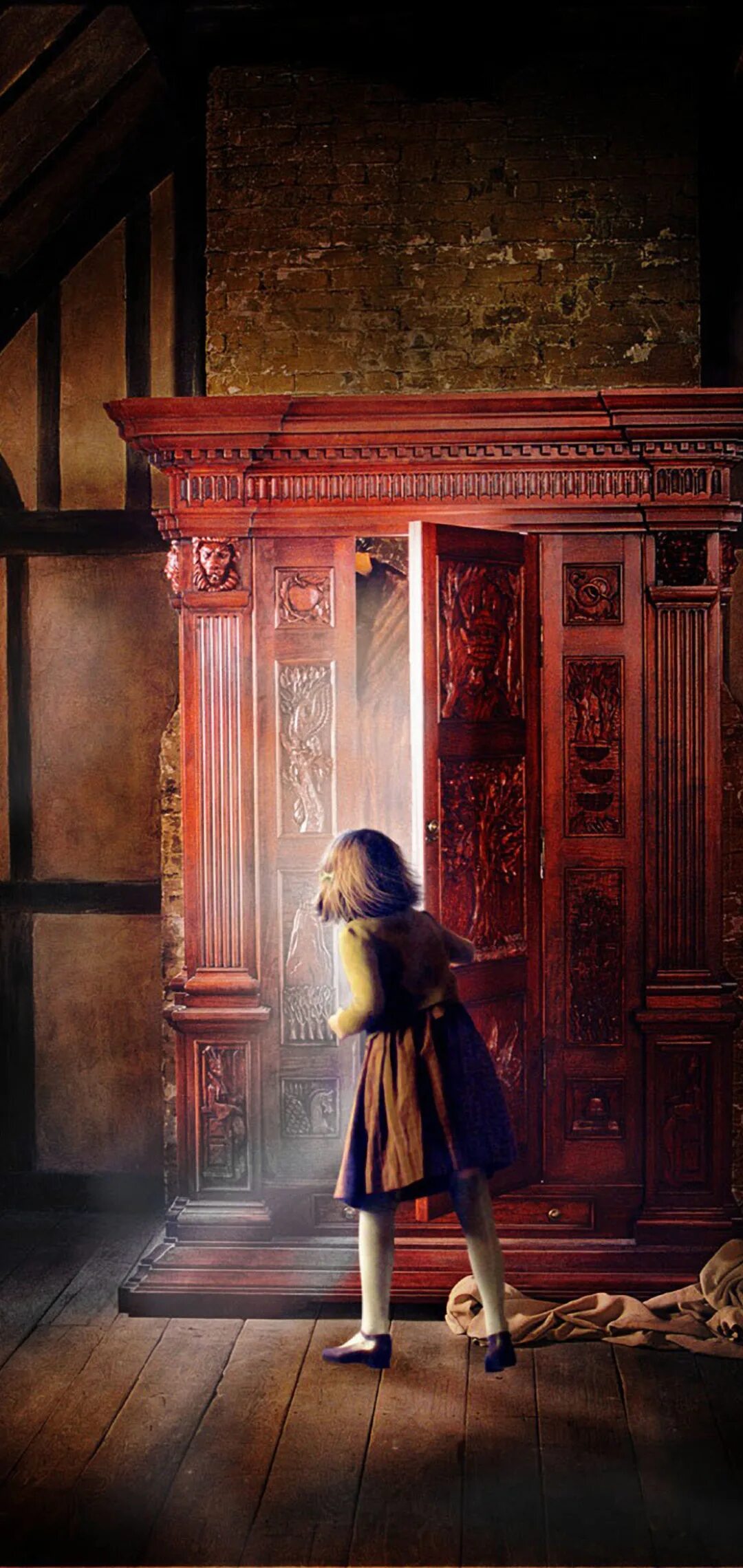 Платяной шкаф из хроники нарнии. Дверь в нарнию. Шкаф нарния вектор. Исчезательный шкаф гарри поттер. Дверь в нарнию.