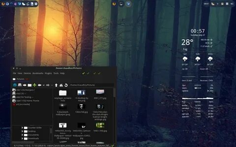 Linux themes