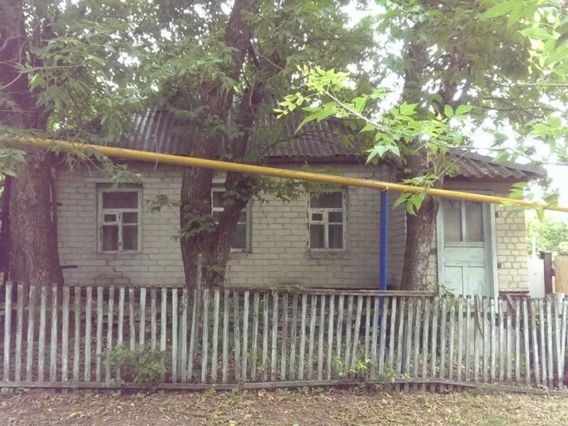 Деревня брежнево. Село бушмено. Полевая курская область. Шуклино курская область. Село зорино курская область.
