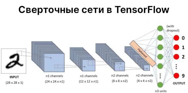 Тензор обучение. Сверточная нейронная сеть архитектура. сверточные нейронные сети (convolutional neural networks). тензор в нейронных сетях это. сверточный слой нейронной сети.