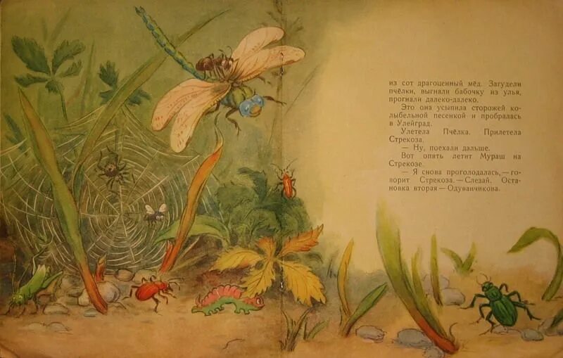 Басня ивана андреевича крылова стрекоза и муравей. Басня крылова стрекоза и муравей. Басня крылова попрыгунья стрекоза. Крылов иван андреевич басни стрекоза и муравей. Иван андреевич крылов басня стрекоза и муравей текст.