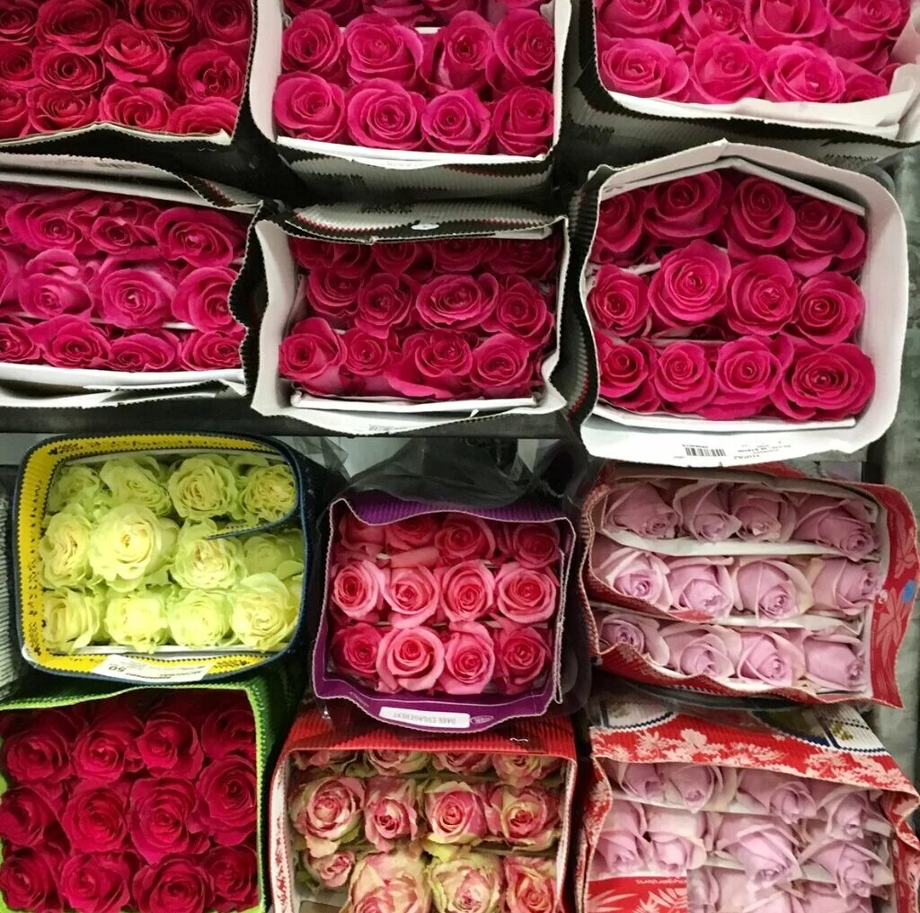 Сколько можно купить роз. Оптовый склад цветов. Оптовая база цветов. Оптовые базы цветов. Оптовый цветочный склад.