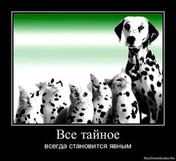 Все тайное становится я