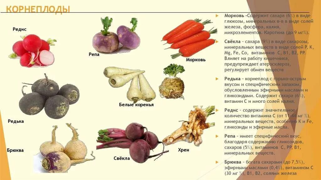 Репа калорийность. Ценность овощей. Питательная ценность овощей. Питательные вещества в овощах. Классификация корнеплодов овощей.