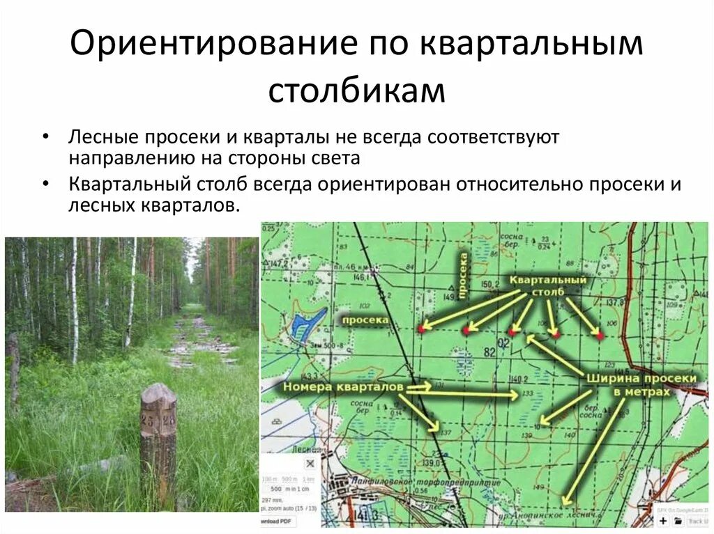 Ориентирование в заданном направлении. Ориентирование в заданном направлении