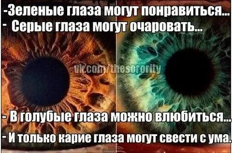 Чехов если влюбиться в голубые