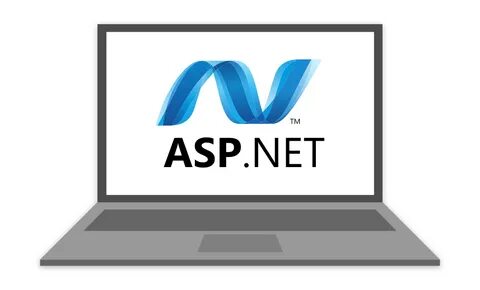 Asp net input