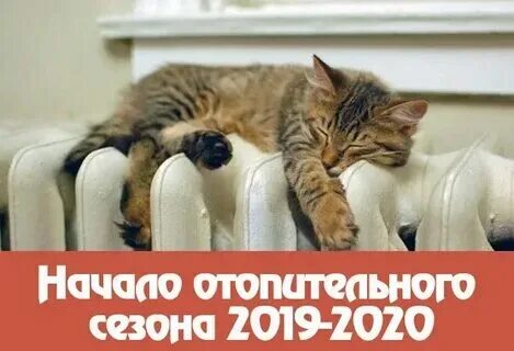 Когда будет терло