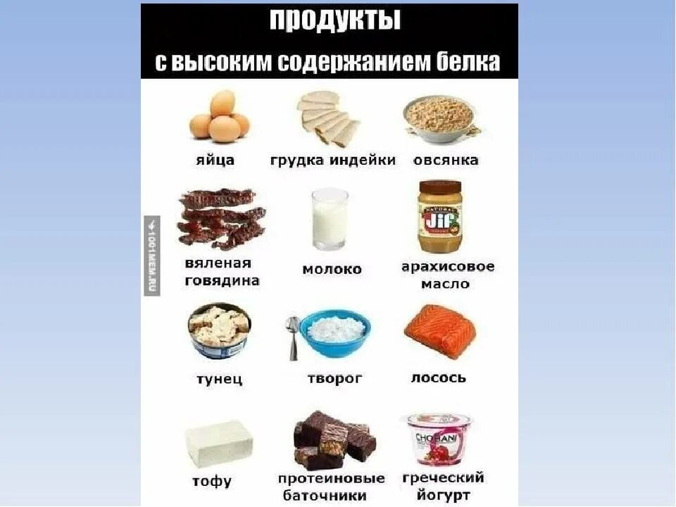 Большое содержание белка. Продукты с высоким содержанием белка. Продукты содержащие белок список продуктов. В чем содержатся белки список продуктов. Пища с высоким содержанием белков.