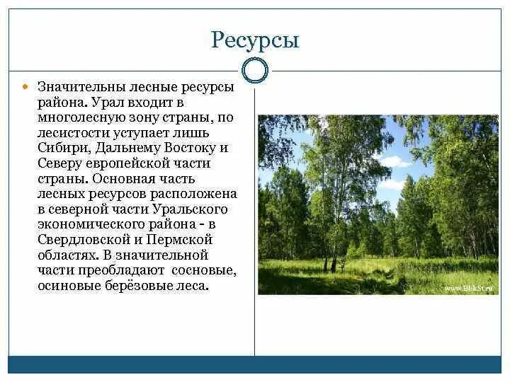 Лесистость урала