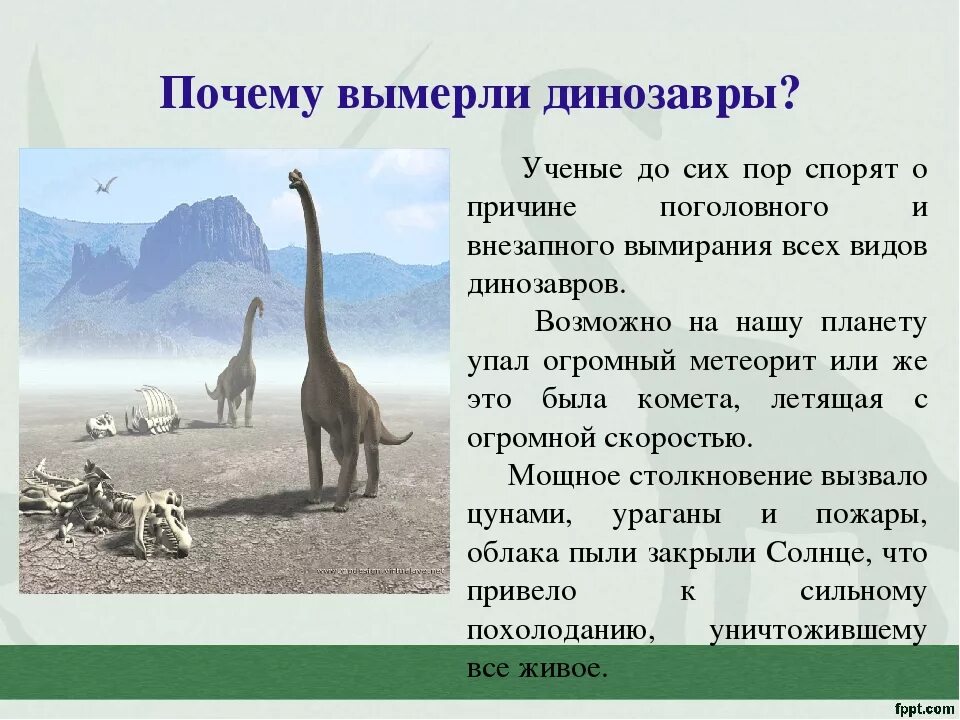 Вымирание является