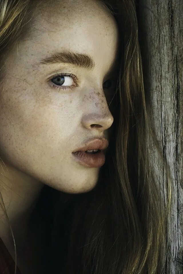Алиса клер. Алиса клер