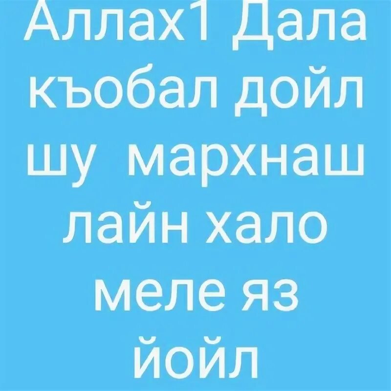 Дойла на чеченском. Мархнаш къобал Дойл лайн Хало.