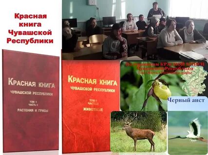 Книги чувашии