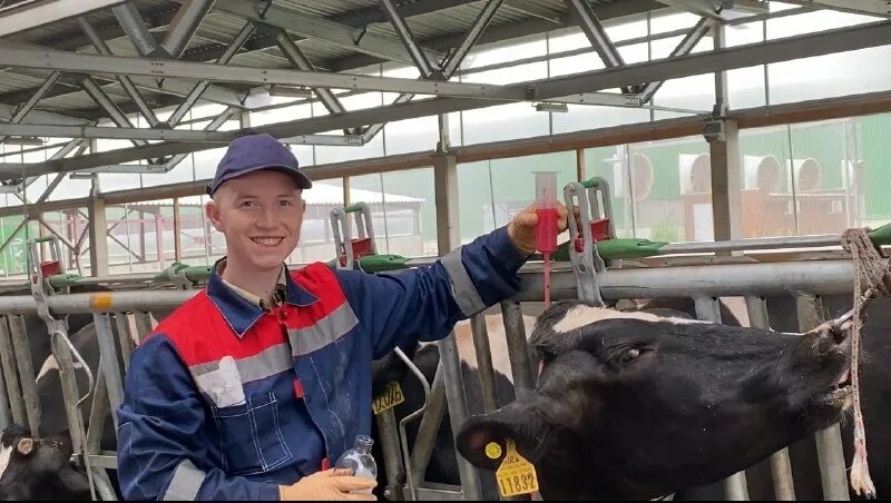 ветхелпер коломна