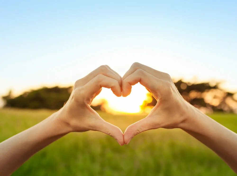 Сердце в руках. Сердце из рук. Сердечко из рук. Виды сердечек руками. Сердце из ладоней.