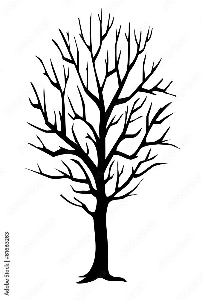Empty branch