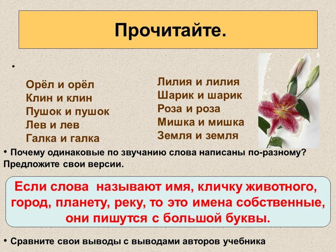 Название цветка с большой буквы. Слова с большой и маленькой буквы. Одинаковые слова с большой и маленькой буквы. Название растений пишется с большой буквы. Название цветов пишется с большой буквы.