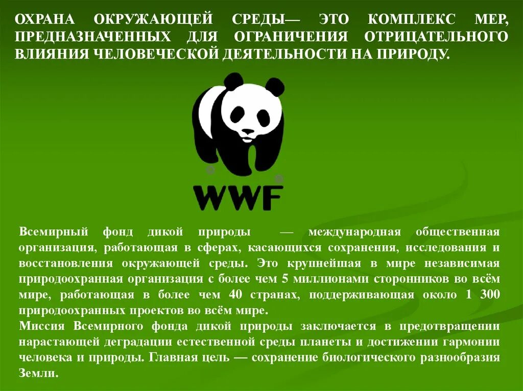 Международная экологическая деятельность. Организации защиты природы. Международные организации охраны природы. Фонд защиты природы. Организации по защите природы в России.